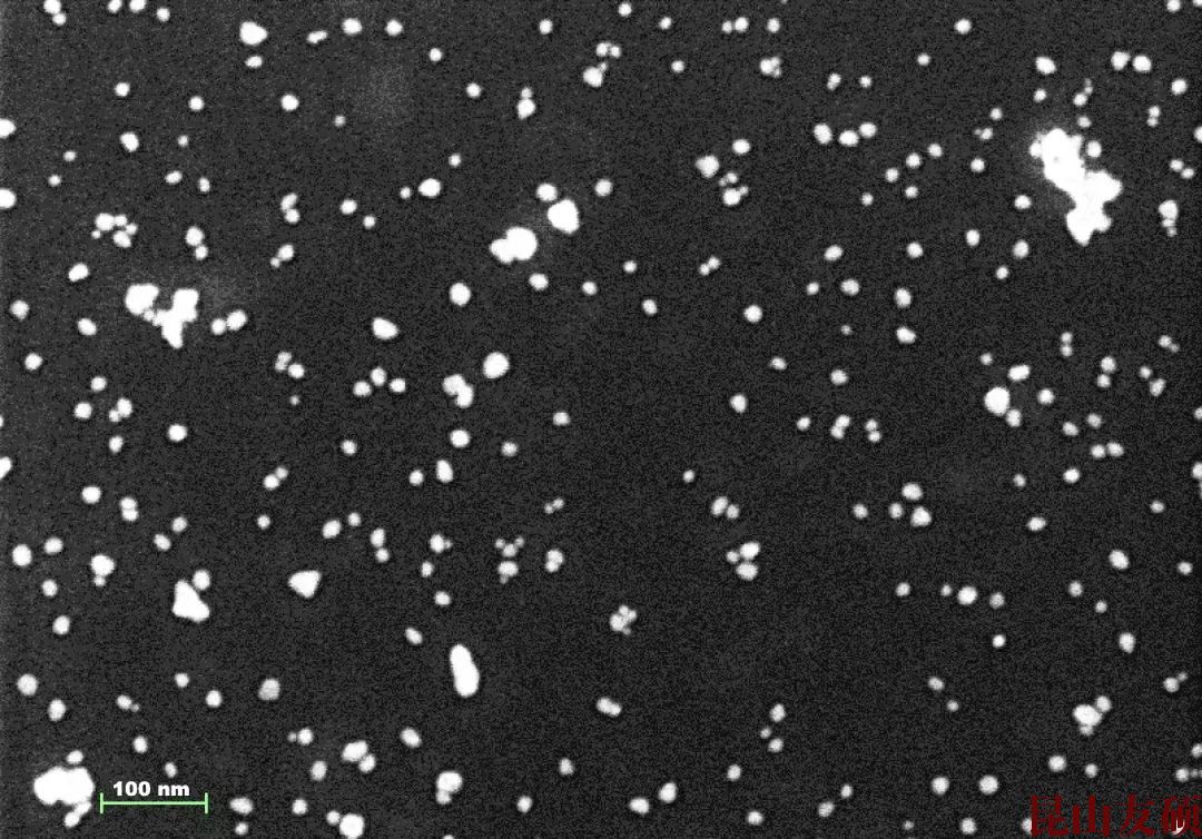 湖北湖北蔡司湖北扫描电镜