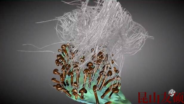 湖北蔡司湖北X射线显微镜